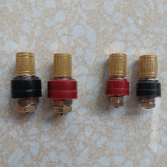 Cặp cọc M6 M8 lắp acquy