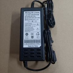 Sạc pin Li-on hệ 5S - 21V - 2A ; 6S - 25.2V - 2A