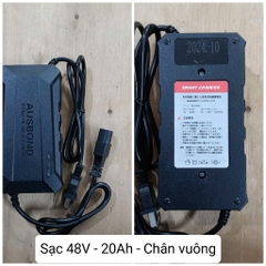 Sạc xe điện 48v chân vuông