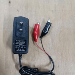 Sạc 14.6V 1.5A, 14.6V 2A cho pin sắt photphat hệ 4S