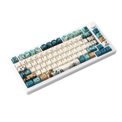 Bàn phím cơ AKKO MOD007B HE PC Joy of Life (Hotswap / RGB / USB Type C 8K Hz / Magnetic Switch / Rapid Trigger)