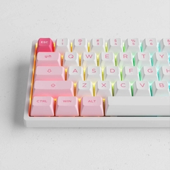 Bàn phím cơ AKKO 3068B Plus Prunus Lannesiana (Multi-modes / Hotswap / Foam tiêu âm / AKKO CS Jelly Pink)