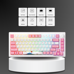 Bàn phím AKKO MOD007B-HE PC Tokyo Sakura Pink Magnetic Switch