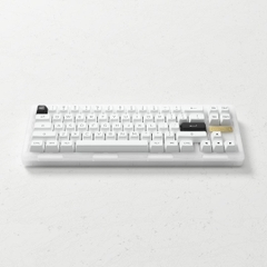 Bàn phím AKKO ACR Pro 75 / ACR Pro 68 (RGB / Hotswap / AKKO CS Crystal / Gasket Mount)