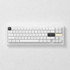 Bàn phím AKKO ACR Pro 75 / ACR Pro 68 (RGB / Hotswap / AKKO CS Crystal / Gasket Mount)