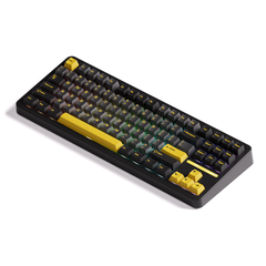 Bàn phím cơ AKKO TAC87 Black & Gold Mirror Switch 3 Mode