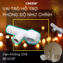 Van khống chế Caesar BF403P nhựa