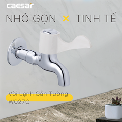 Vòi gắn tường Caesar W027C