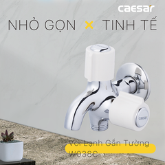 Vòi sen tắm nước lạnh Caesar W038C củ sen si