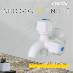 Vòi sen tắm nước lạnh Caesar W038P củ sen nhựa