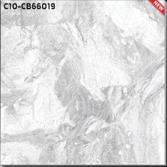 Gạch lát nền ceramic bóng 60x60 : CT10 - CB66019