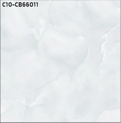 Gạch lát nền ceramic bóng 60x60 : CT10 - CB66011