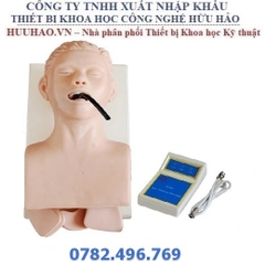 MÔ HÌNH ĐẶT NỘI KHÍ QUẢN NGƯỜI LỚN