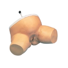 Mô Hình Khám Dị Vật Bụng Bầu – 1005589 – 3B Scientific