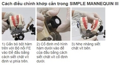 BỘ MÔ HÌNH THỰC HÀNH NHA KHOA NISSIN - SIMPLE MANIKIN III