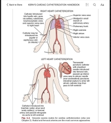 Sách ngoại văn Kern's Cardiac Catheterization Handbook7th Edition