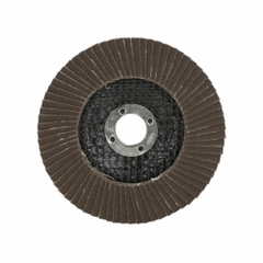 Nhám Xếp Blue Bird BA-240