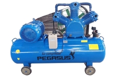 Máy Nén Khí Dây Đai Pegasus TM-W-1.6/8-330L