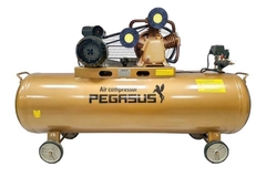Máy Nén Khí Dây Đai Pegasus TM-W-0.36/12.5-120L
