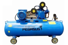 Máy Nén Khí Dây Đai Pegasus TM-W-0.36/12.5-180L