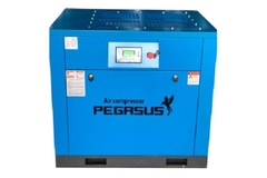 Máy Nén Khí Trục Vít Pegasus TMBT50A