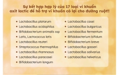 TPCN - Men tiêu hoá hãng dược Kolon pharm 60 gói 60gam (60ea)