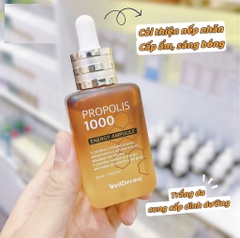 Tinh chất lọc ong Propolis 1000 Wellderma 50ml (100ea)