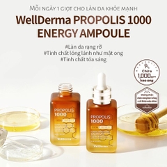 Tinh chất lọc ong Propolis 1000 Wellderma 50ml (100ea)