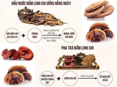 B01-Nấm linh chi kana nongsan 8-10 lá 1kg (10ea)