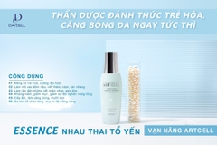 Tinh chất trắng da trị nám ngọc trai tổ yến Art Cell Daycell 100ml (40ea)