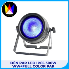 Đèn Par Led IP65 300W WW+Full Color Par