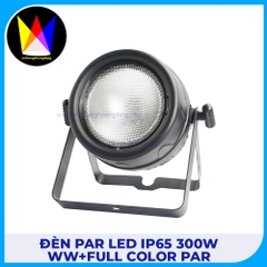 Đèn Par Led IP65 300W WW+Full Color Par