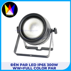 Đèn Par Led IP65 300W WW+Full Color Par