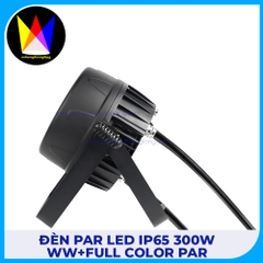 Đèn Par Led IP65 300W WW+Full Color Par