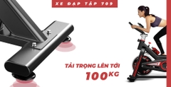 XE ĐẠP TẬP THỂ DỤC ĐA NĂNG 709