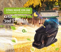 Ghế massage FUJISU FJ 500