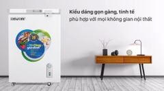 Tủ đông Hòa Phát 1 Ngăn Đông 107 lít HCF 106S1Đ