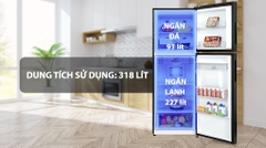 Tủ lạnh Aqua Inverter 318 lít AQR T369FA (WBS)