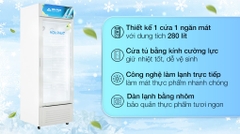 Tủ Mát Hòa Phát 280 Lít HSC 700F1R1