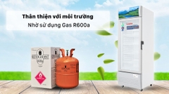 Tủ mát Sanaky 240 lít VH 308KL