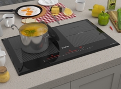 Bếp từ Dann DS-IB999 EGS