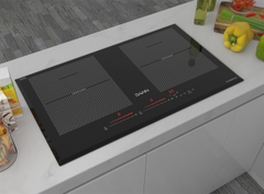 Bếp từ Dann DS-IB999 EGS
