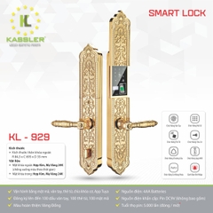 Khóa vân tay đại sảnh Kassler KL929