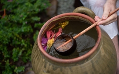 Alba Wellness Resort Huế