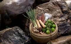 Alba Wellness Resort Huế