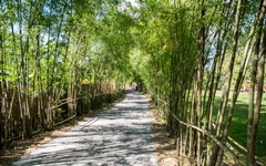 Alba Wellness Resort Huế