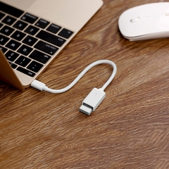 Cáp OTG USB-C to USB 3.0 Đen, Vỏ Nhựa Ugreen (30701, 30702)
