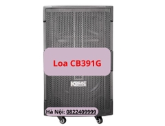 Loa ACNOS CB391G