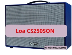 Loa ACNOS CS250SON