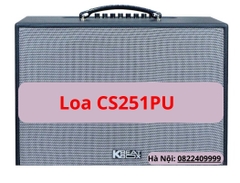 Loa ACNOS CS251PU